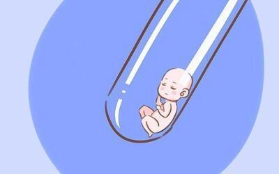 卵子凍結保存